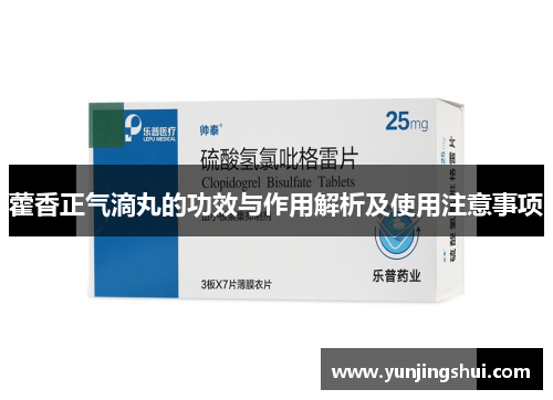 藿香正气滴丸的功效与作用解析及使用注意事项