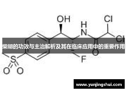 柴胡的功效与主治解析及其在临床应用中的重要作用